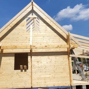 ALICJA III - obrazek 13