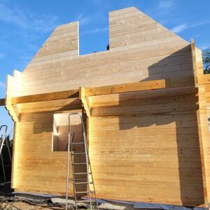 ALICJA III - obrazek 9